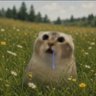 Ait0u5hi's profile picture