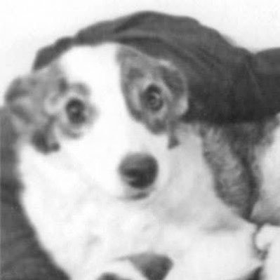 parker's profile picture