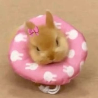 ivlove123's profile picture