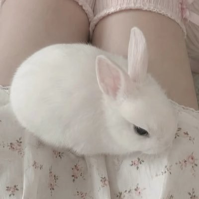 grrotesq's profile picture