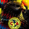 JML🔴🟡 profil fotoğrafı
