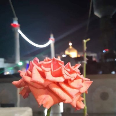 حيدر السوري's profile picture
