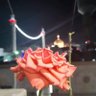 حيدر السوري 的头像