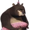Profilbild von Медведь Соня