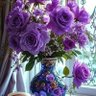 Hg Tf profil fotoğrafı