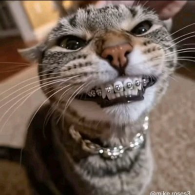 Arjun Xettri's profile picture