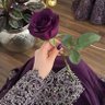 Фото профиля 🌿💜 سورية الهوى💜🌿