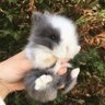 bun 的头像