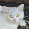 Profilbild von redred