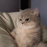 fc_beauty 的头像