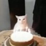 notforu_ 的头像