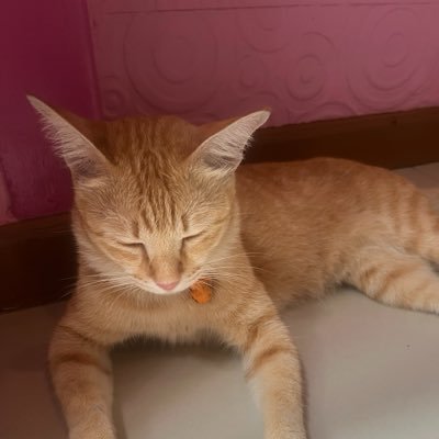 muai__08's profile picture