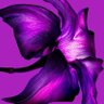 flower's profile picture