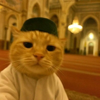 Kasper's profile picture