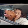 Isara's profile picture