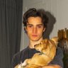 link profil fotoğrafı
