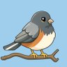Junco 的头像