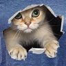 JustCurious's profile picture