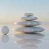 Lynn Fishman l The Mindful Voice profil fotoğrafı