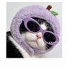 Chan🌻's profile picture