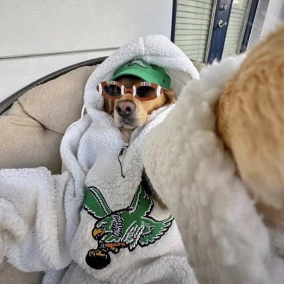 Limitless's profile picture