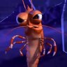 Horace The Shrimp's profile picture