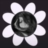 ☼。˚❀ goldfish x petal ❀ 。˚ ☼ profil fotoğrafı