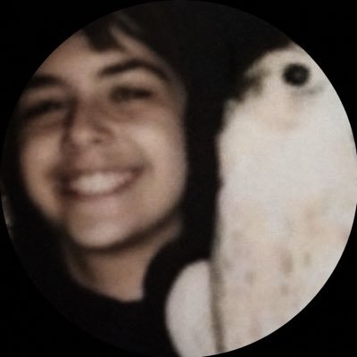 شامان-فتى رحيمة🌴's profile picture