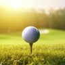 Profilbild von Play_More_Golf