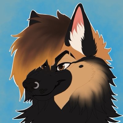 LoloFennec's profile picture