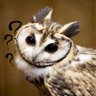 bellezza's profile picture