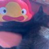 tinki's profile picture