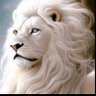 Vjota_33 🇧🇷🇮🇱🇺🇸's profile picture