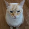 Profilbild von Nana