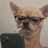 Cloaked Skeptic's profile picture