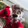 Profilbild von 🐶joshwuff🐶