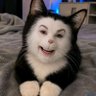 Profilbild von hank