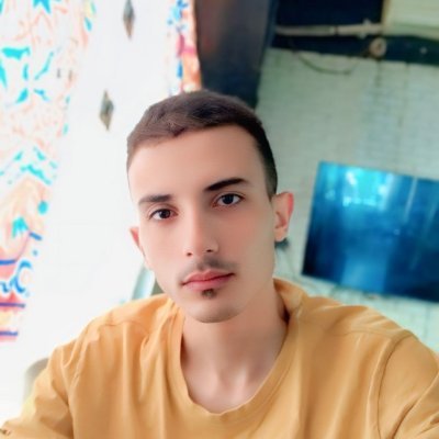 ahmedelkadyx's profile picture
