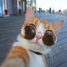 Eric profil fotoğrafı
