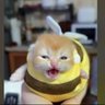 Beans Teens profil fotoğrafı