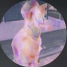 Profilbild von LaAngel