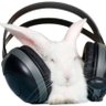 Tee Sirius's profile picture