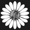 Profilbild von Ok, and? ꕤ