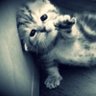 lu profil fotoğrafı