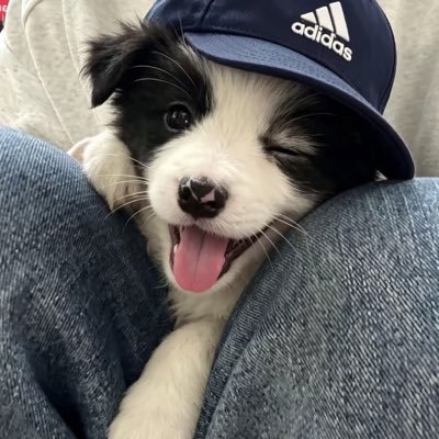 bel's profile picture