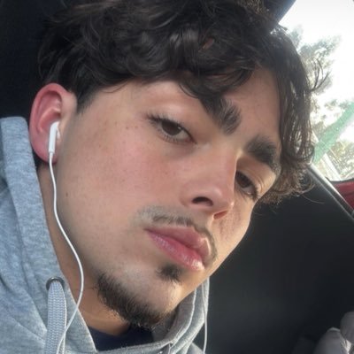 🪲's profile picture