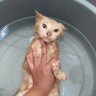 Фото профиля meisin ❁