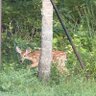 Profilbild von Nature Lover TX