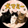 Фото профиля 犬マミー