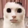 Profilbild von 山田太郎